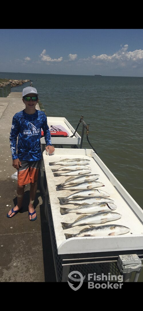 Galveston Report Photo 0