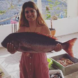 14th pounds red snapper