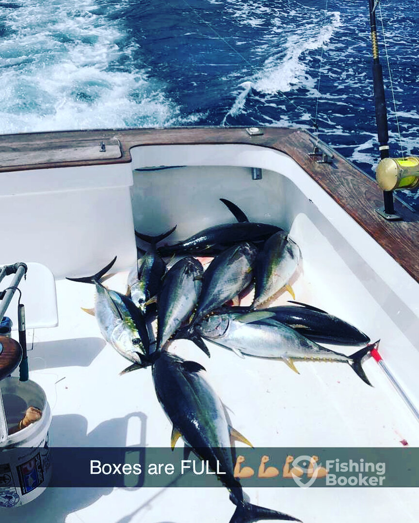 Wanchese Report Photo 0