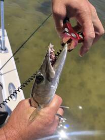 Bradenton Report Photo 1