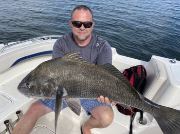 Incredible Black Drum bite! 