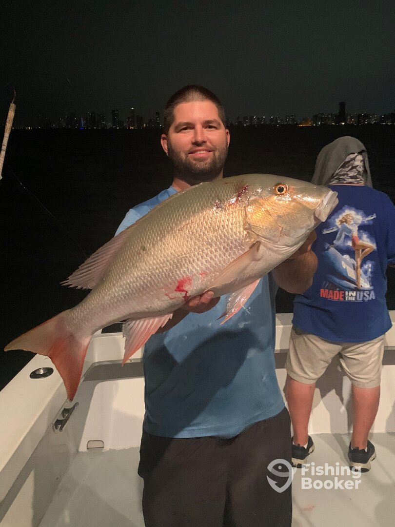 Dania Beach Report Photo 0