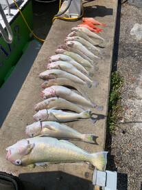 Dania Beach Report Photo 2