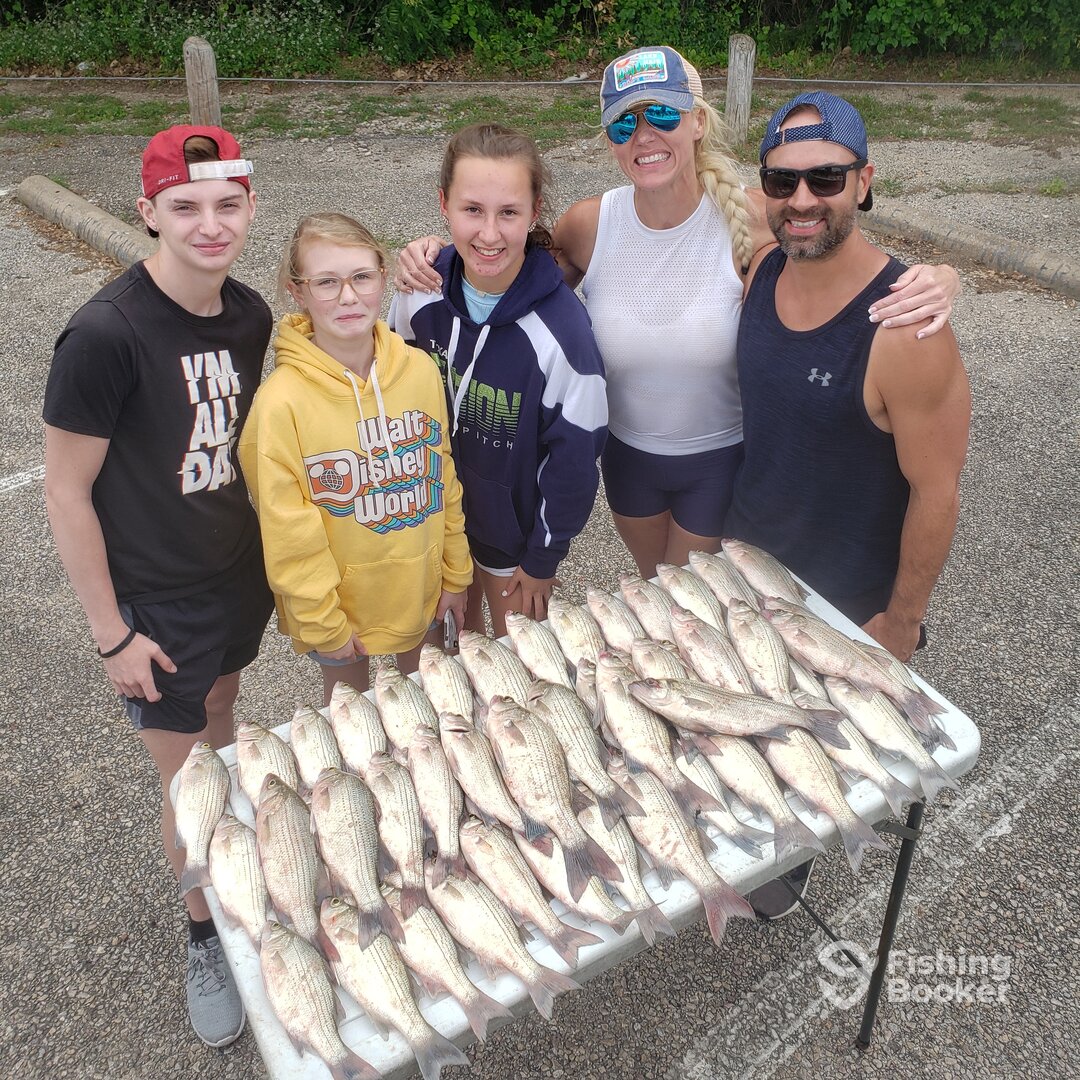 Lewisville Report Photo 0