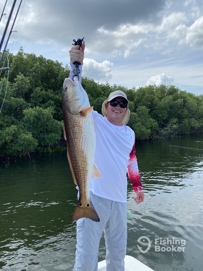 Clearwater Report Photo 0