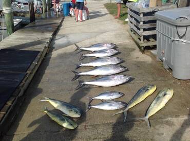 Wanchese Report Photo 2