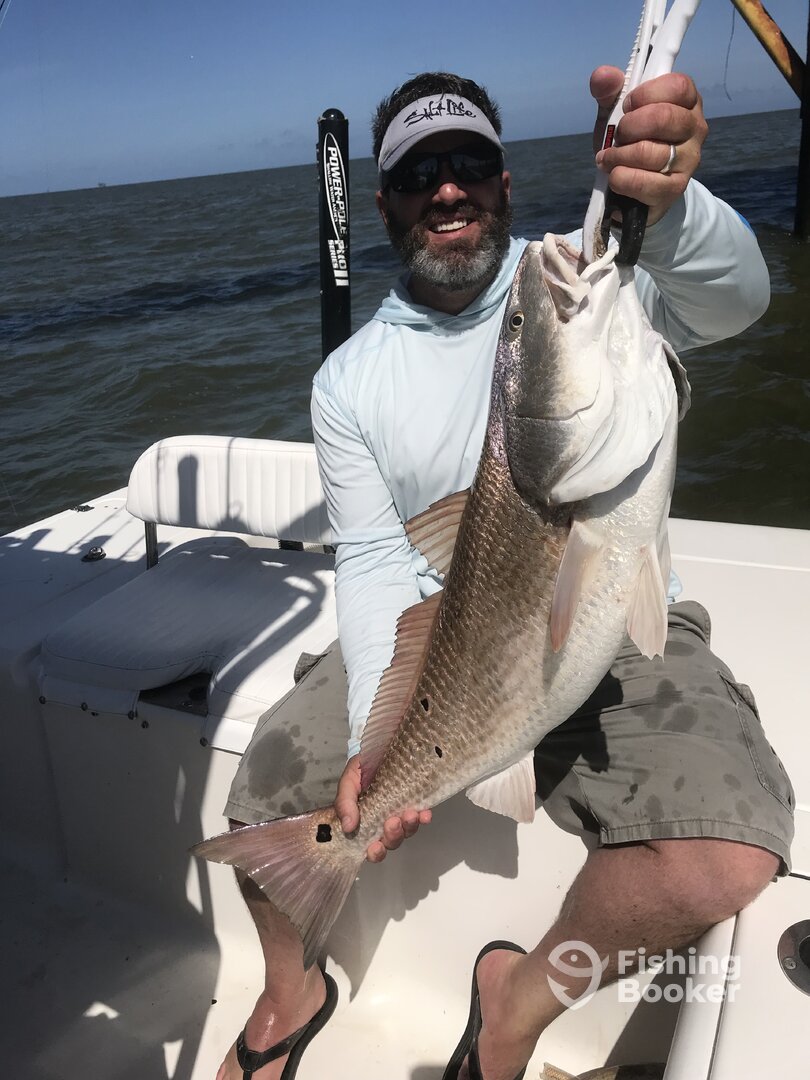 Venice Report Photo 0