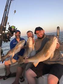 Venice Report Photo 1