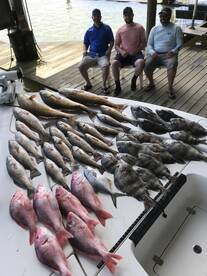 Venice Report Photo 2