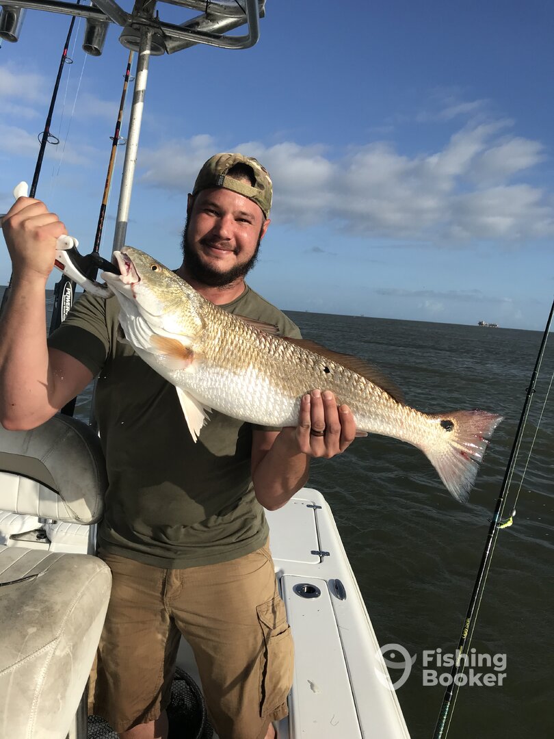 Venice Report Photo 0