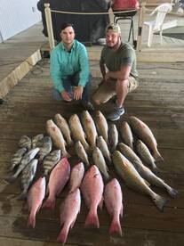 Venice Report Photo 1