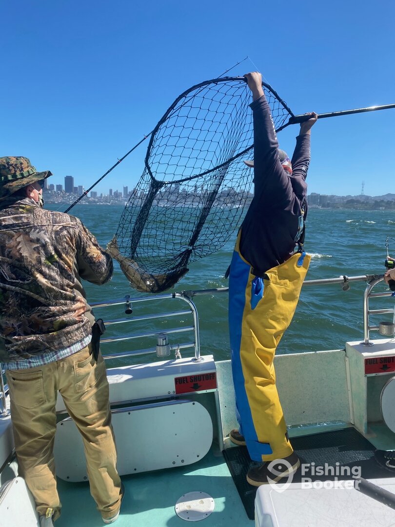 San Francisco Report Photo 0