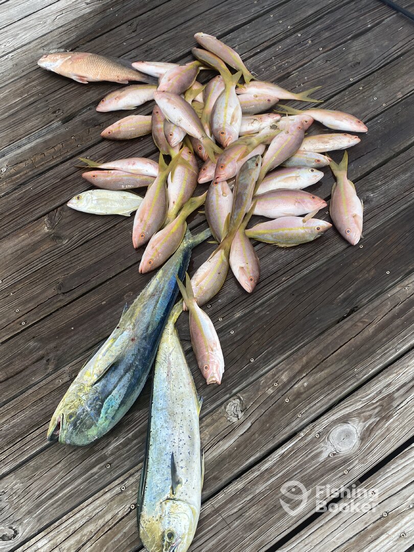 Marathon Report Photo 0