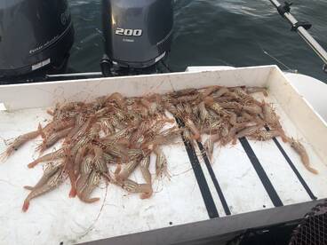 Port Moody Report Photo 2