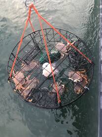 Port Moody Report Photo 1