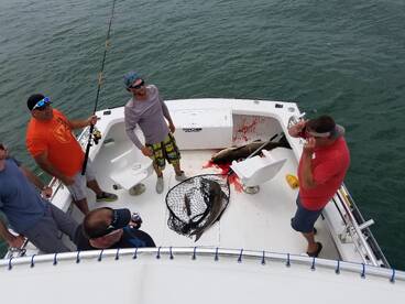 Nags Head Report Photo 2