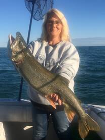 Waukegan Report Photo 2