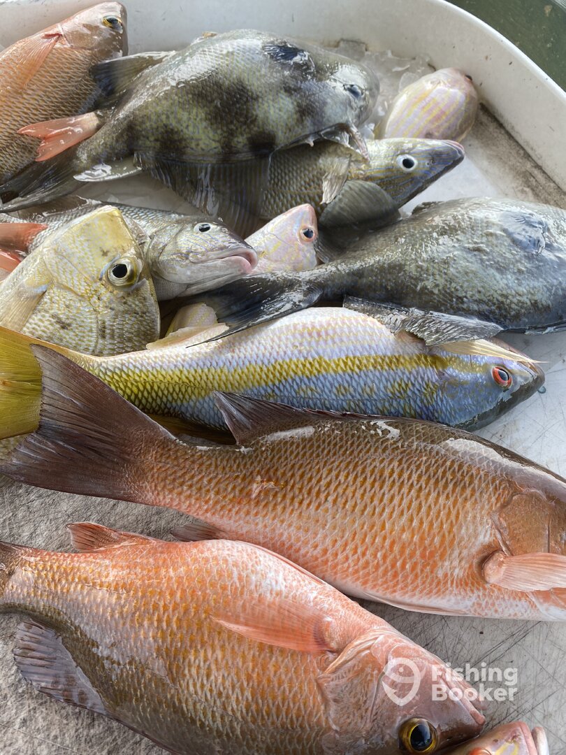 Marathon Report Photo 0