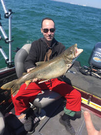 Oak Creek Report Photo 1