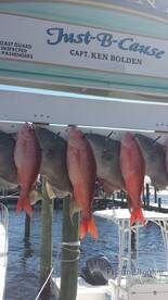 Destin Report Photo 1