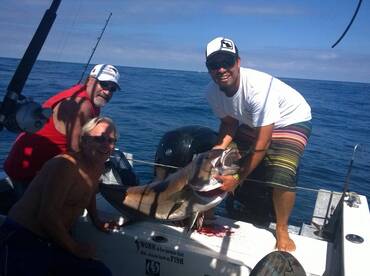 Puerto Vallarta Report Photo 2