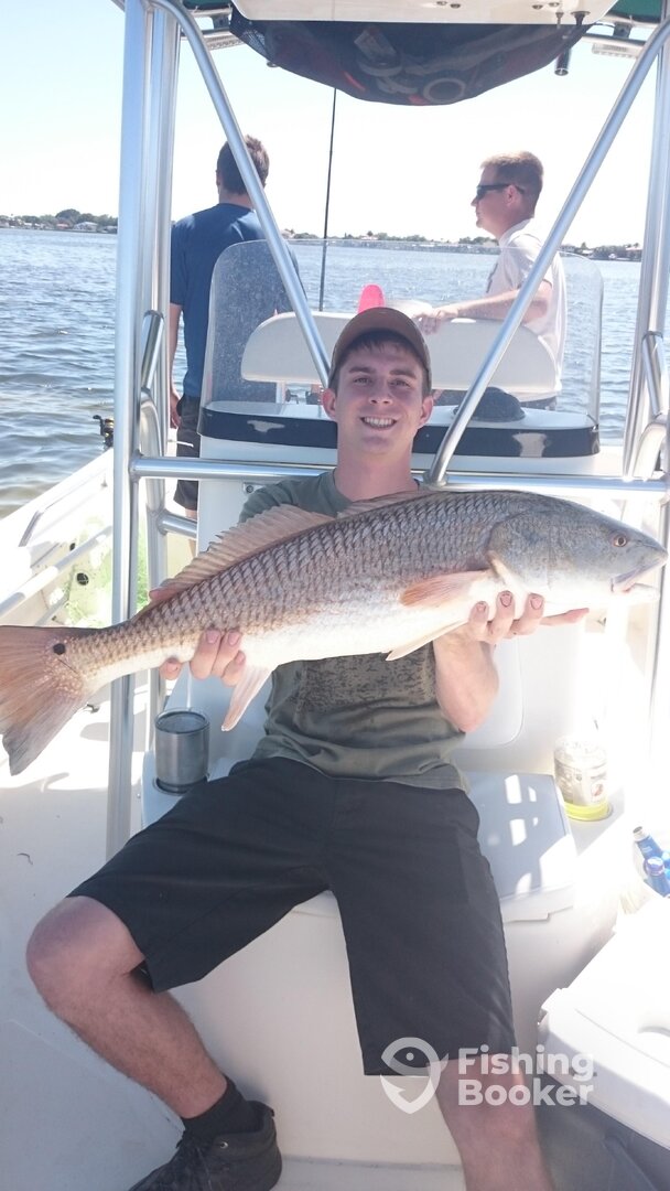 St. Petersburg Report Photo 0