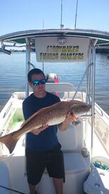 St. Petersburg Report Photo 1