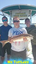 St. Petersburg Report Photo 2