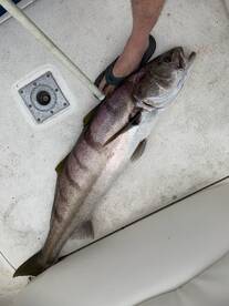 RockenReel Slayin it!