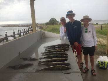 Port St. Joe Report Photo 2