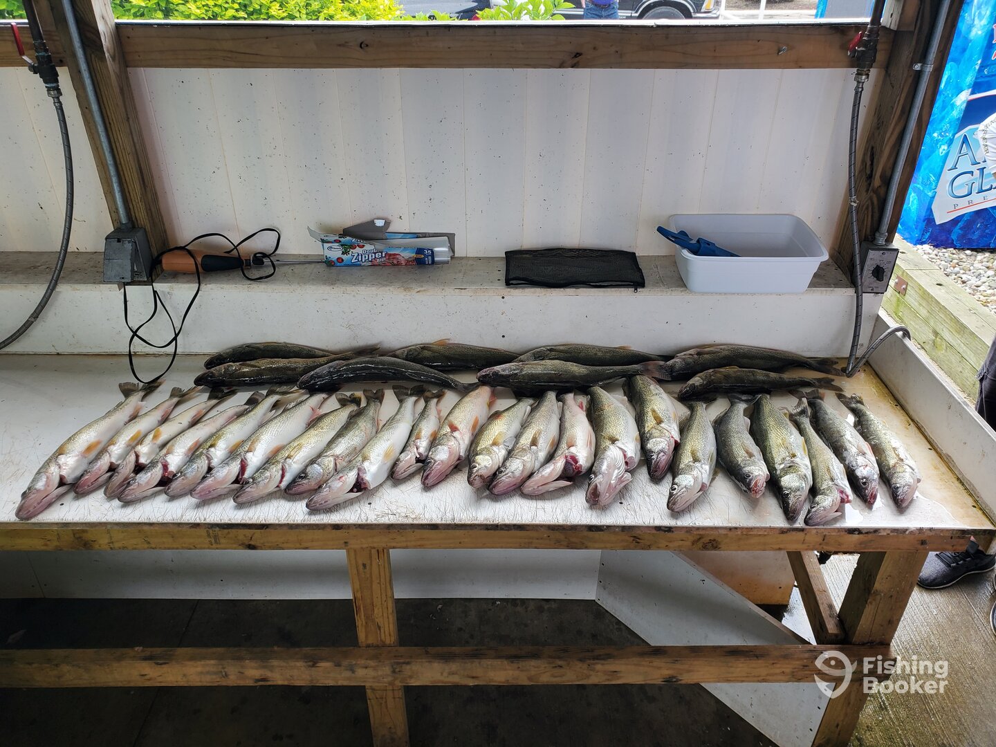 Newport Report Photo 0