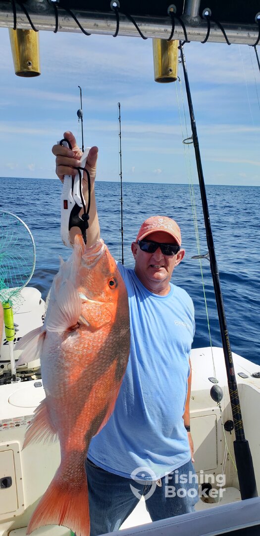 Apalachicola Report Photo 0