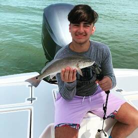 Marco Island Report Photo 2