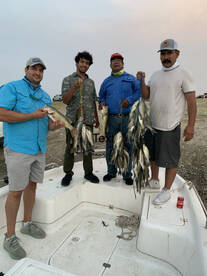 White bass bite on fire !