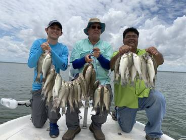 Lopeno Report Photo 3