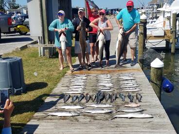 Cobia  blues ,Spanish.  Great action!