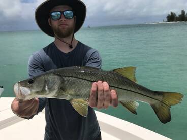 Sanibel Report Photo 2