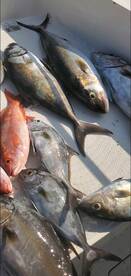 Jacksonville Report Photo 2