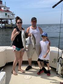 Stevensville Report Photo 1