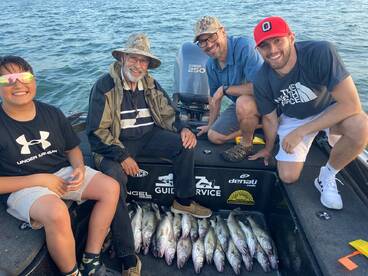 Lake erie walleye michigan waters