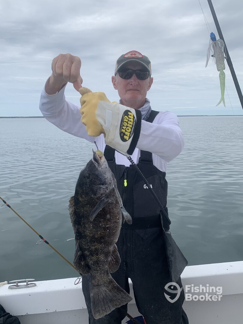 Dennis Report Photo 0