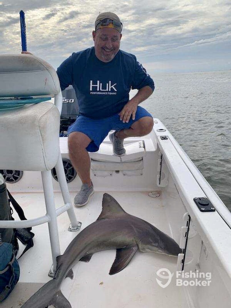 Mount Pleasant Report Photo 0