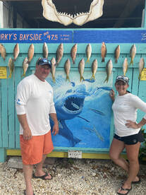 Amazing afternoon Reef Trip