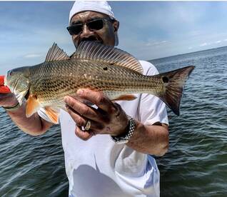 Solomons Report Photo 1