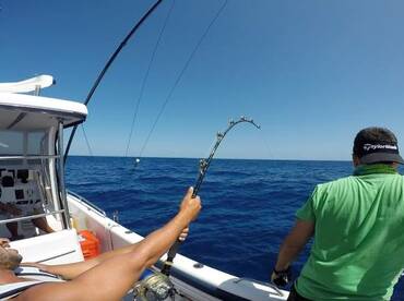 Maputo Report Photo 1