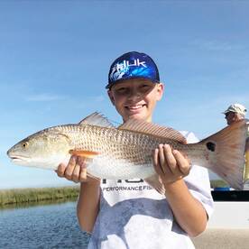 New Orleans Report Photo 2