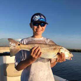 New Orleans Report Photo 1