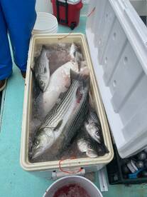 San Francisco Report Photo 1