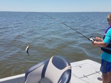 Lake Charles Report Photo 1