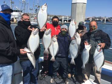 HALIBUT HALIBUT and more HALIBUT